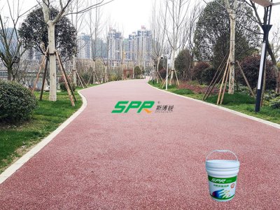 全球智慧匯聚西安 探索海綿城市建設的中國樣本